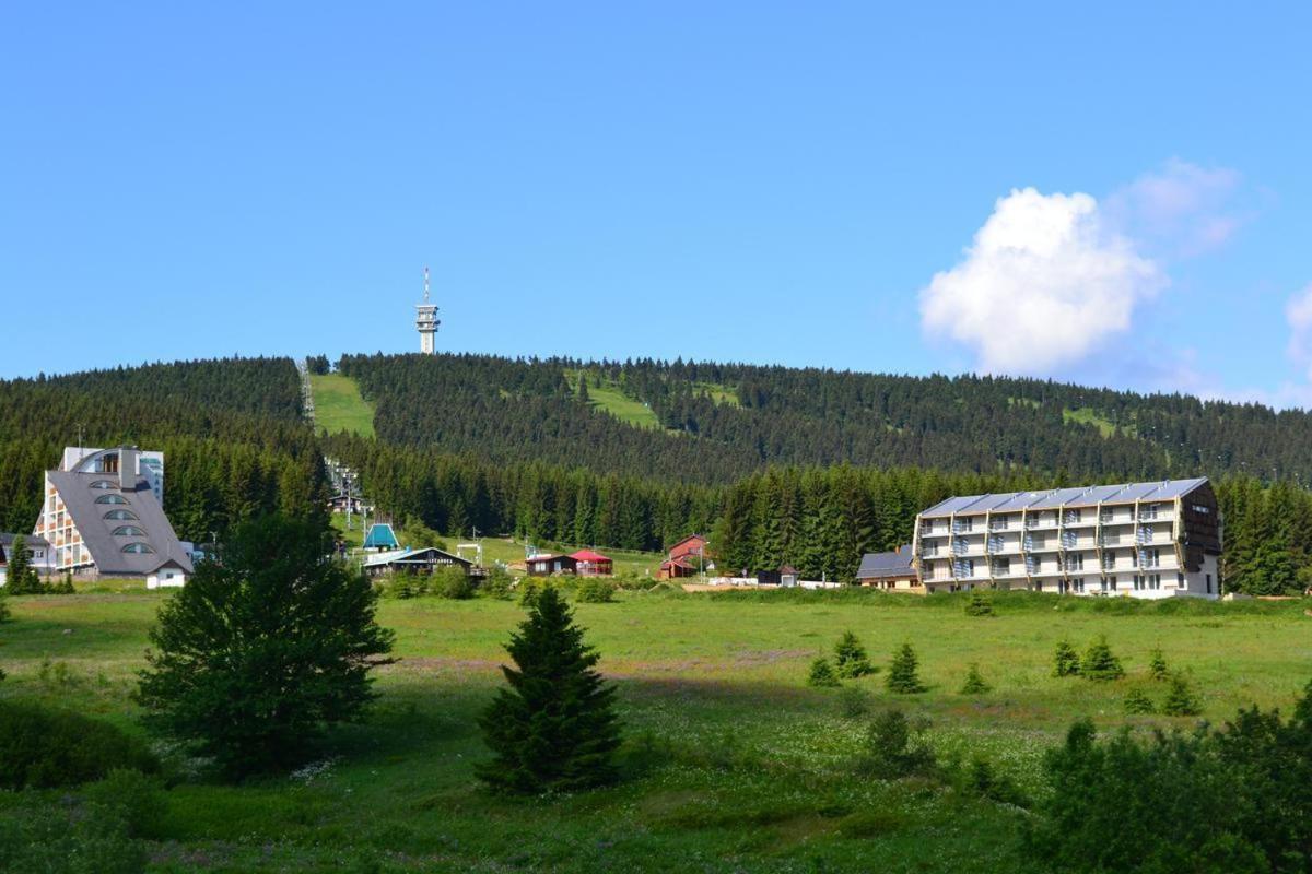 Apartmán Venus Klínovec s velkou terasou NOVINKA Loučná pod Klínovcem Exterior foto