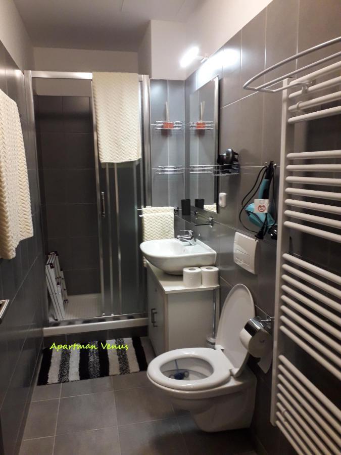 Apartmán Venus Klínovec s velkou terasou NOVINKA Loučná pod Klínovcem Exterior foto